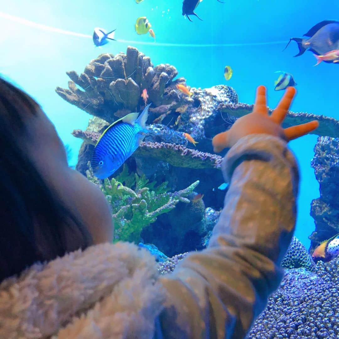 村井美樹のグルメインスタ