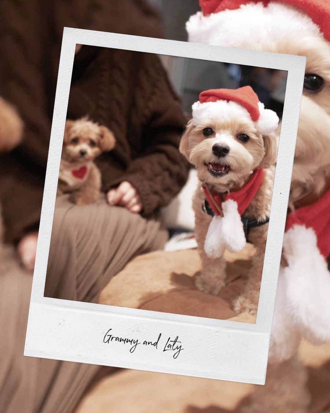 仲村美香のグルメインスタ