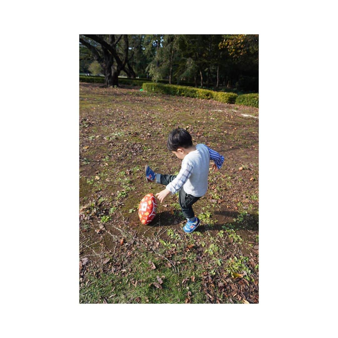 小熊美香さんのインスタグラム写真 - (小熊美香Instagram)「＊ 今日は寒いですね〜😬❄️ きっとここから一気に寒くなって 師走に突入ですね🕺💨 ＊ ＊ 11月に入ってからも暖かい日が多かったので 先日もかじまりと 新宿御苑でピクニック🍙🍱 ＊ ＊ 数ヶ月前に、 一緒に御苑の年間パスポートを購入したので… この寒さに負けずに… 足を運びたいと思います…笑。 ＊ ＊ #恒例のかじまり✨ #安定のかじまり✨ #子熊くんはラグビーボールに夢中🏉 #我が家はまだまだラグビー熱が続いております😚 #かじまりベビーはペットボトル運びに夢中🤣 #2歳4カ月 #1歳3カ月 #男の子ママ」11月26日 11時03分 - ogumamika