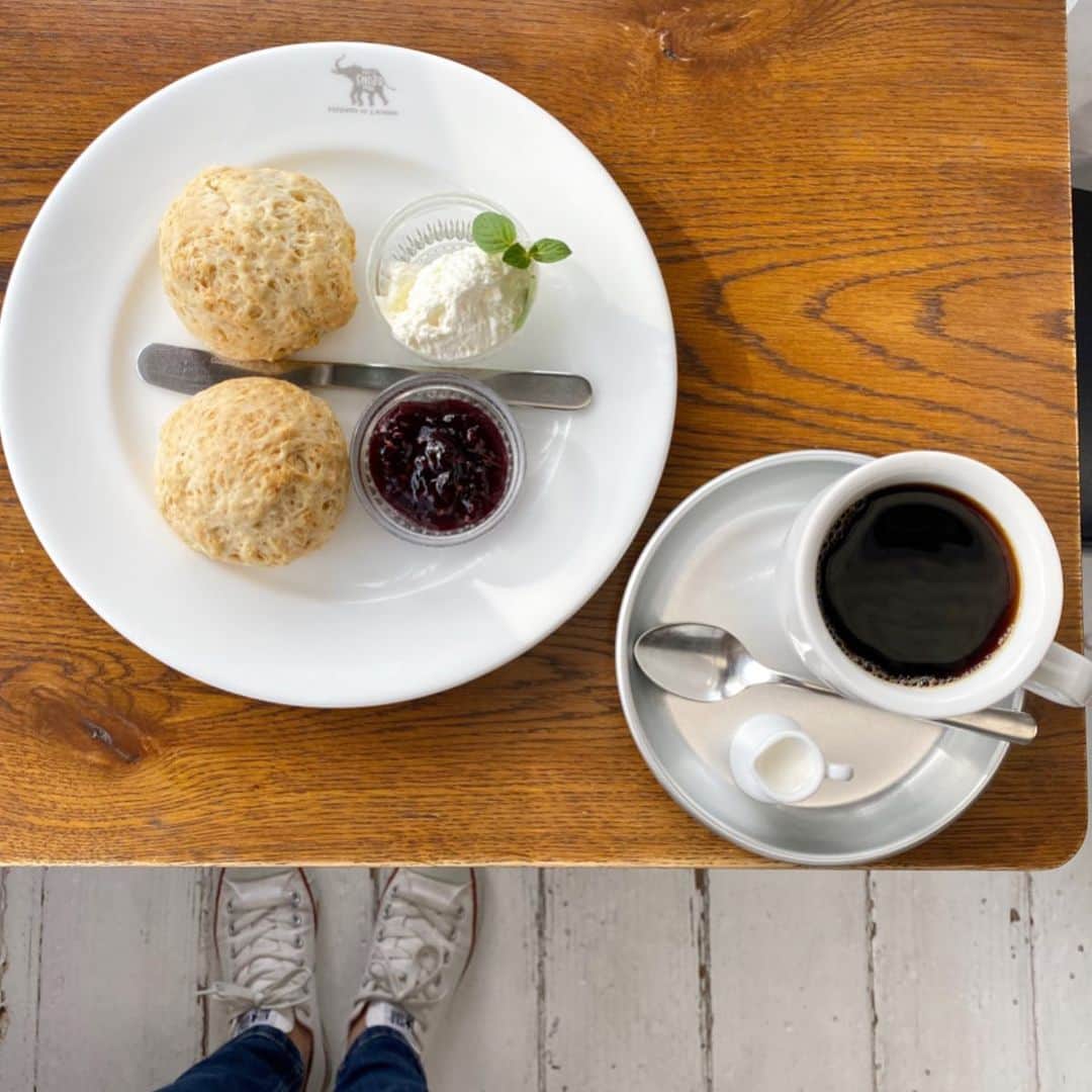 tomomi.7_のグルメインスタ