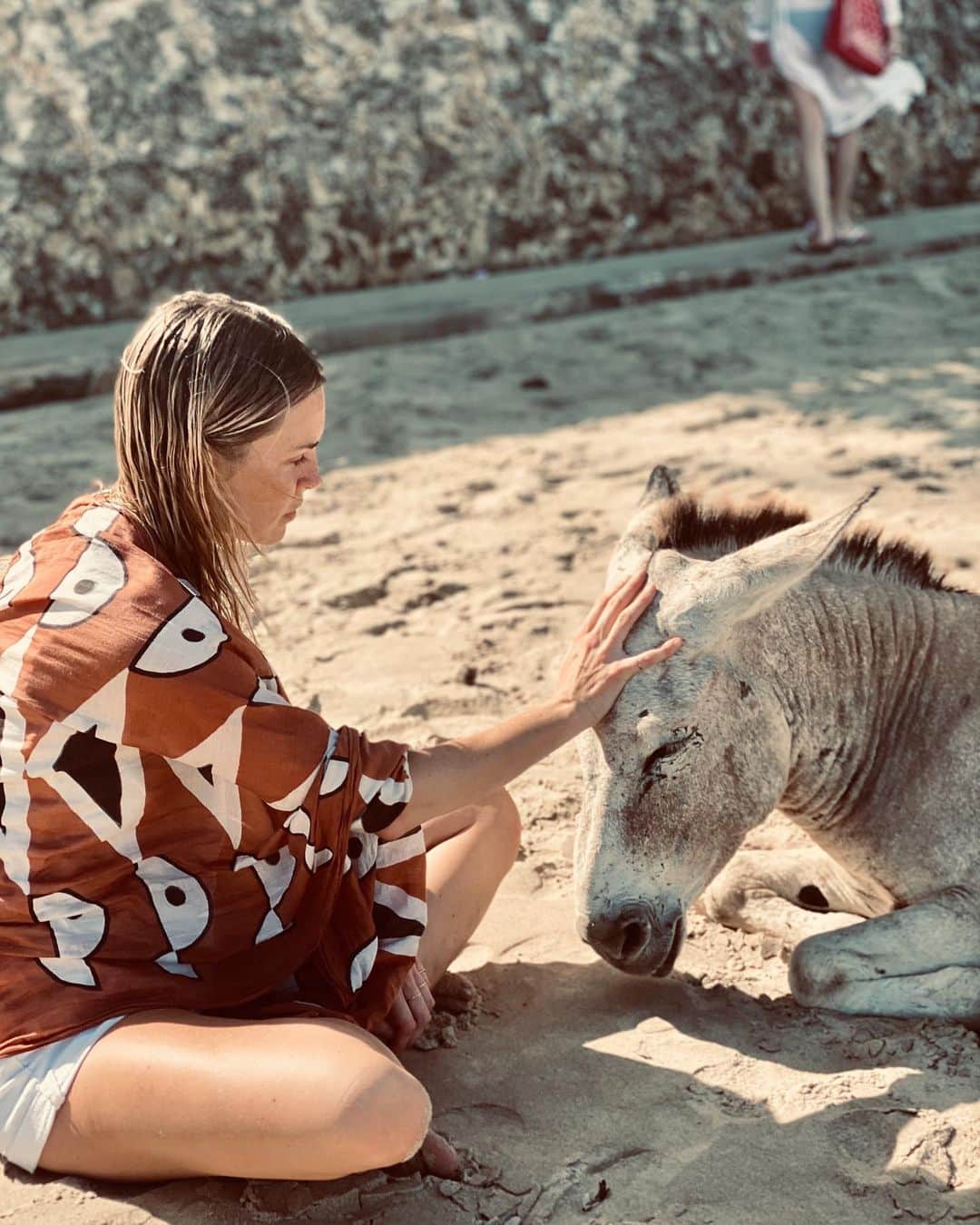 フィービー・ダールのインスタグラム：「Putting a loving hand on this very very old donkey I came across on the beach in Lamu, he’d found a cozy spot on the beach to live out the rest of his life. He was such a love bug and immensely enjoyed his ear scratches...as much as I loved giving them #kenya」