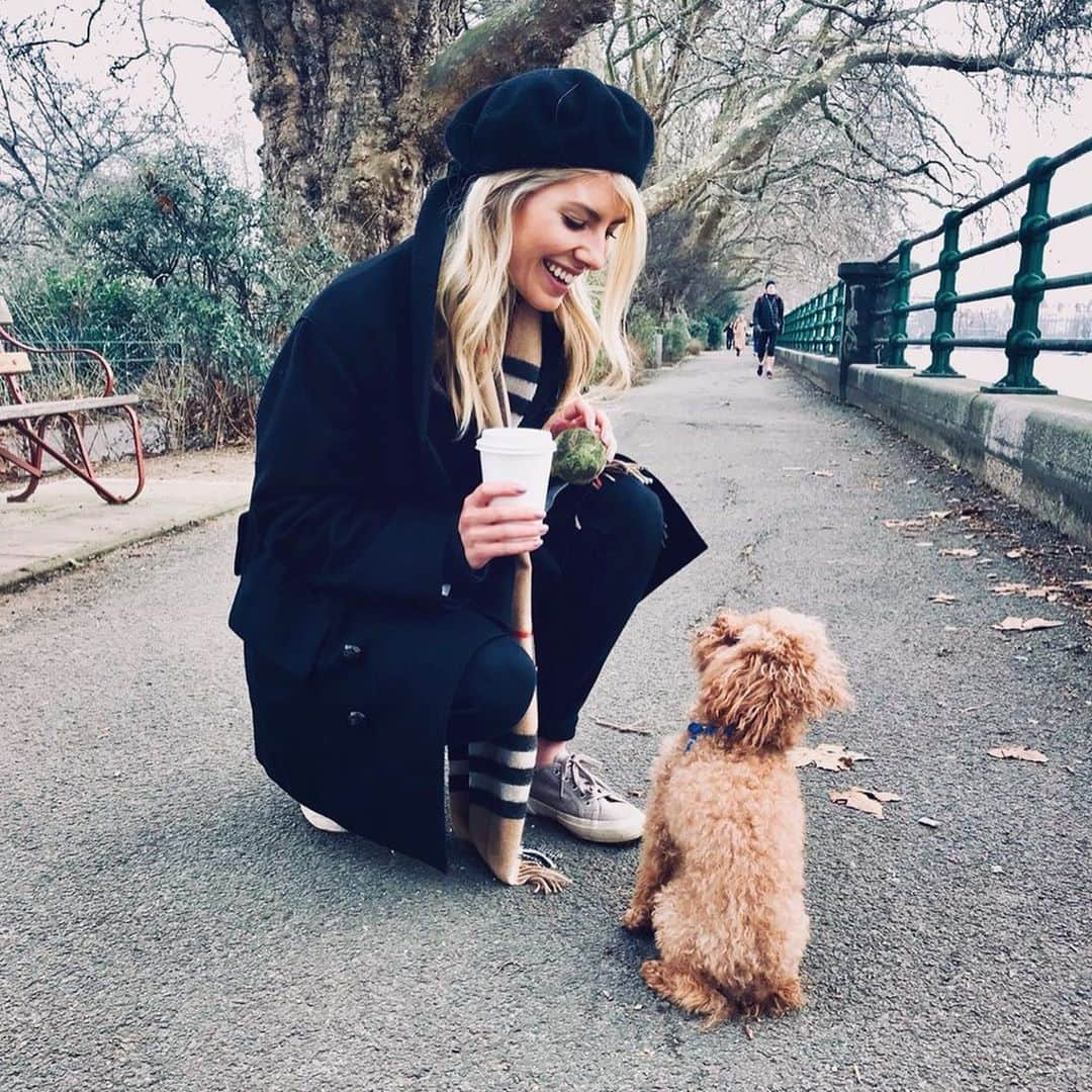 Mollie Kingさんのインスタグラム写真 - (Mollie KingInstagram)「My boy Alfie turned 10 years old last week! ...I still can’t believe it!  I know he thinks I look after him but I can assure you it’s definitely the other way round ❤️❤️❤️❤️」11月26日 3時59分 - mollieking