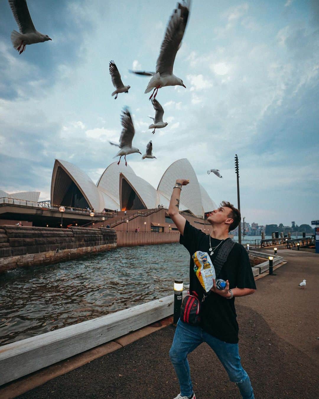 Jonahmaraisのインスタグラム：「jimmy swiped it right before ricardo could grab his newly found feast」