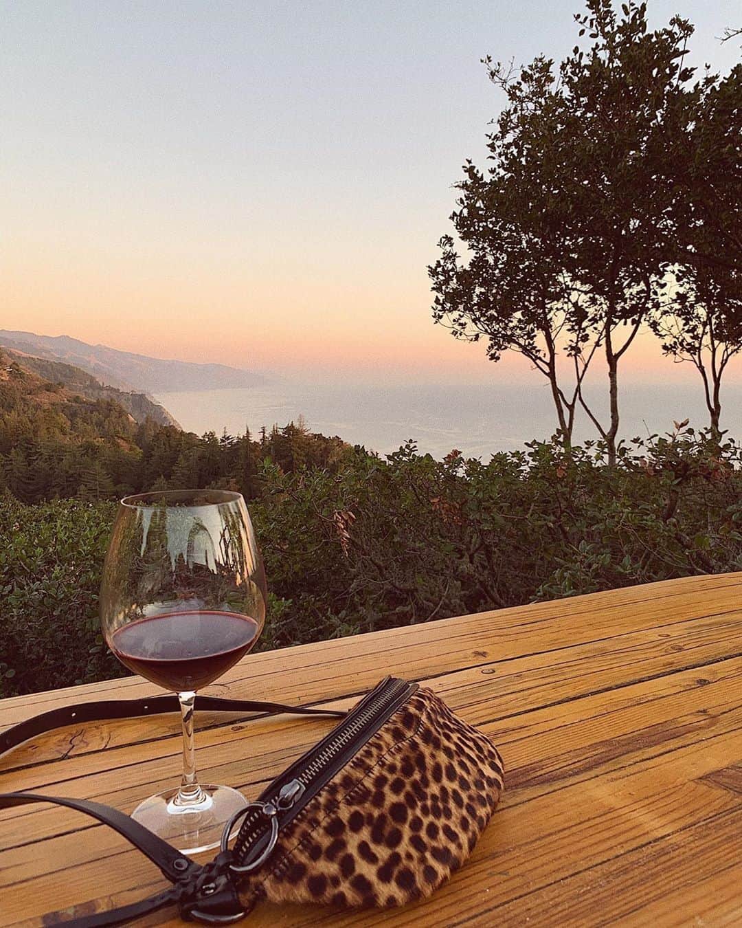 のインスタグラム：「What’s prettier? The view, the wine? Or the fact that the #BreeMiniBag made it to sale? 🙌🏽」