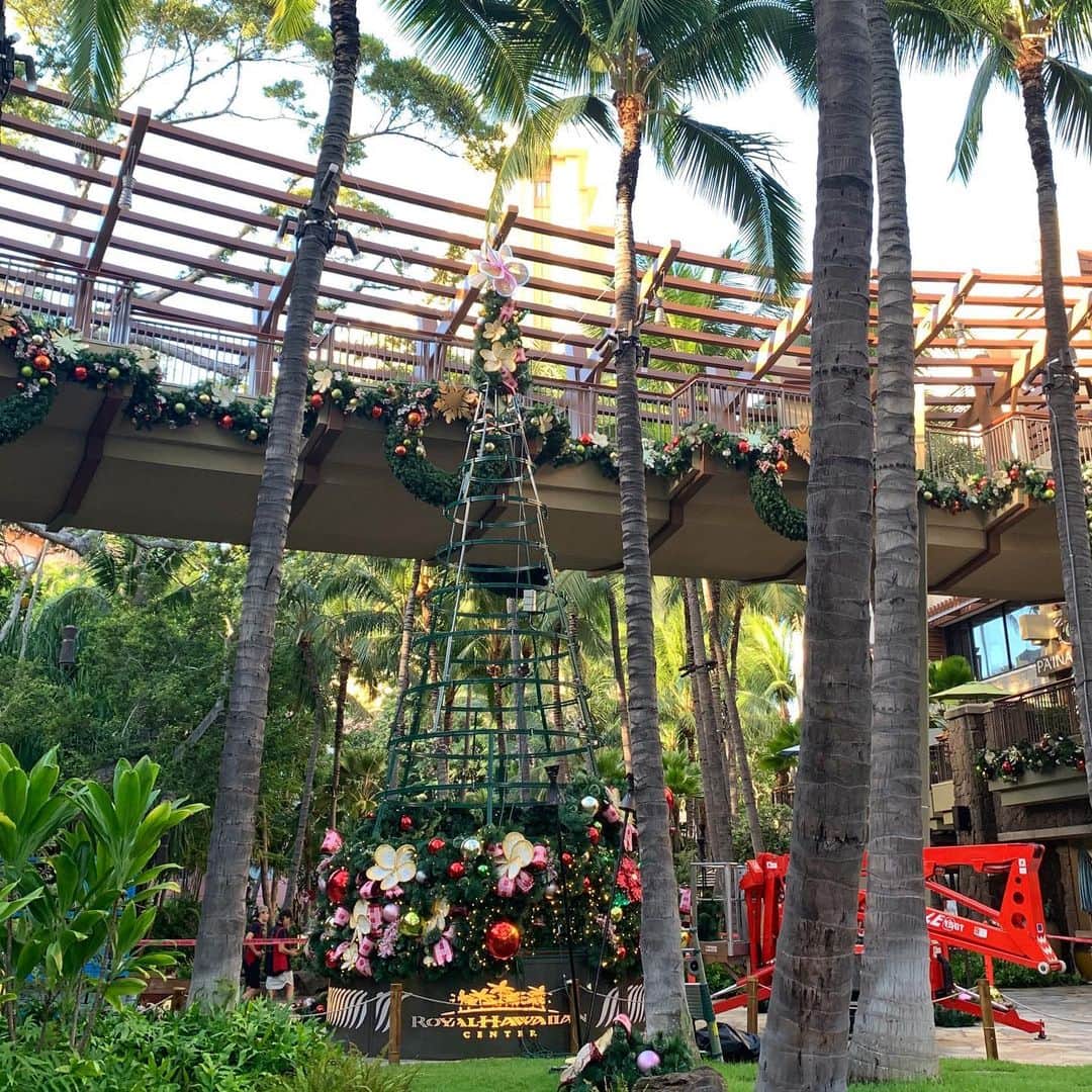 Belle Vie Hawaiiさんのインスタグラム写真 - (Belle Vie HawaiiInstagram)「今朝、ベルヴィーのお向かいの﻿ ロイヤルハワイアンセンターの﻿ クリスマスツリー作成中に遭遇しました🎄﻿ ﻿ 部分ごとに貼り付けていたんですね😵﻿ ﻿ 2枚目は今朝8時ぐらいのツリー🌲﻿ まだ骨組みがむき出しです😆﻿ ﻿ ﻿ ﻿ ﻿ ﻿ #belleviehawaii #hawaii﻿ #waikiki #waikikibeach﻿ #aloha #honolulu﻿ #christmastree #plumeria﻿ #oahuhawaii #oahulife﻿ #hawaiilife #honoluluhawaii﻿ #ハワイ #ベルヴィー﻿ #ハワイ旅行 #ハワイ好き﻿ #ハワイ大好き #アロハ﻿ #ハワイクリスマス #プルメリア﻿ #ハワイ土産 #ハワイ行きたい﻿ #ハワイのお土産 #ハワイアン﻿ #ワイキキ #ワイキキビーチ﻿ #ホノルル #ハワイ生活﻿ #ハワイ好きな人と繋がりたい」11月26日 7時28分 - belleviehawaii