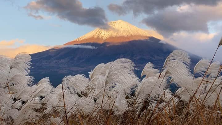 phantastic420のインスタグラム：「. 🤩🤩“Shizuoka” prefecture in Japan is a place where you can see the most “phantastic” Mt. Fuji🗻 in the world.🤩 #富士山 #mtfuji #japan #shizuoka #fujinomiya  #phantastic420photography #mostphantasticmtfuji #selamatpagi  #goodmorning  #おはようございます 😇😇😇😇😇😇😇🗻😇😇😇😇」