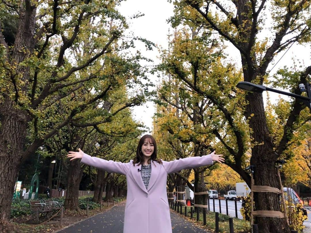 團遥香さんのインスタグラム写真 - (團遥香Instagram)「今日は#いちょう並木　から中継🍁 今週末がピークみたいです🥰 今日は寒いからお気をつけて🤲 🧥🧡　@beradiance」11月26日 8時39分 - haruka_dan_official