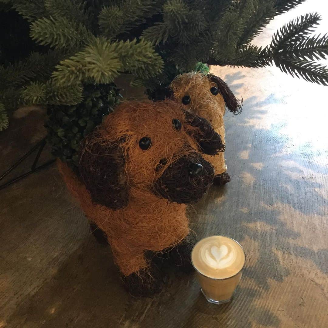 HeyCoffeeのグルメインスタ