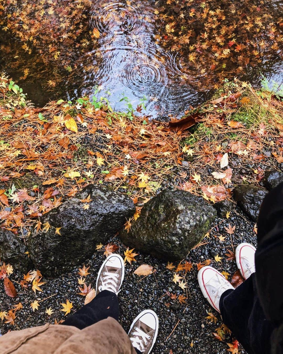 佐野真依子さんのインスタグラム写真 - (佐野真依子Instagram)「ずっといってみたかった 河口湖もみじ回廊🍁🍁🍁 すごいすごすぎ綺麗ーーー！ 来年もまたこよう🍇🦉🍑」11月26日 9時40分 - sanomaisanomai