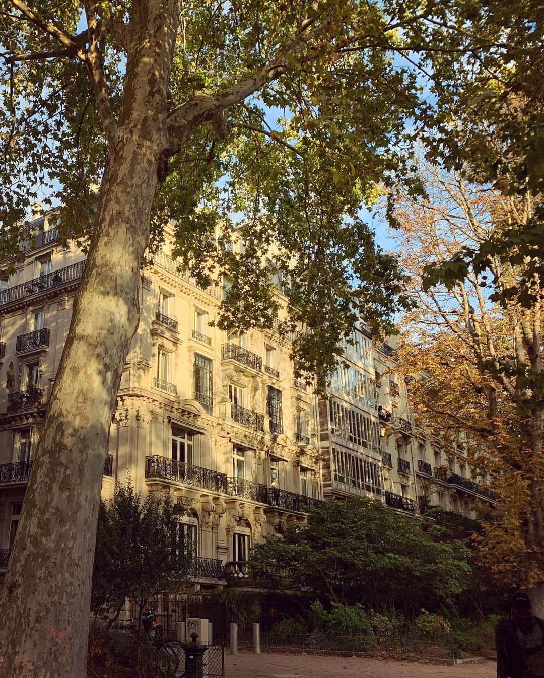 滴草由実のインスタグラム：「#旅記録 #秋 #inspiration」
