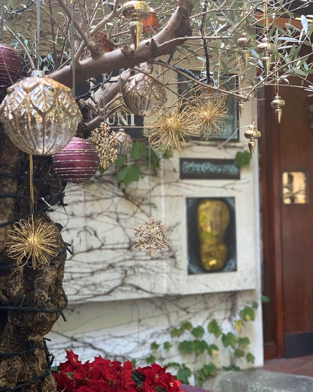 オテル・ドゥ・ミクニ(ウェディング)公式のグルメインスタ