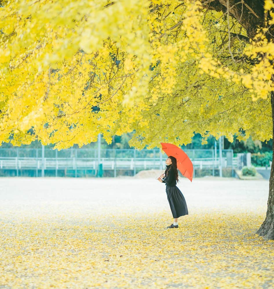 Kobe Japan Water artのインスタグラム：「"Yellow rain🍂"」