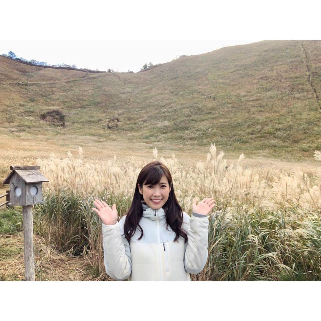 玉巻映美さんのインスタグラム写真 - (玉巻映美Instagram)「先日のことですが、朝5時に早起きして奈良県の曽爾高原に行きました☺️ 🌾 ススキとと言えばオレンジの夕焼けのイメージかもしれませんが、朝日に光るススキも幻想的で綺麗でした…🙇‍♂️ たくさん歩いた後のお弁当美味しかった〜〜だいぶ前に行ったので、今頃もっとススキは見頃を迎えているかも…？お散歩におすすめです！ #曽爾高原 #ススキ」11月26日 20時38分 - eimi_tamamaki