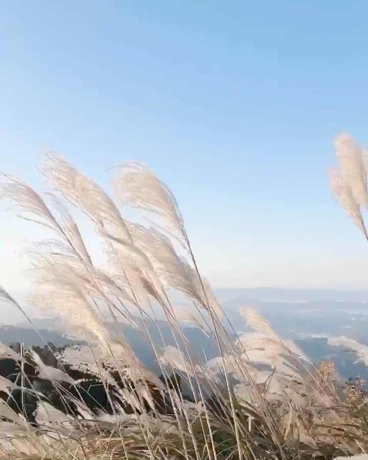 白岩まちこのインスタグラム