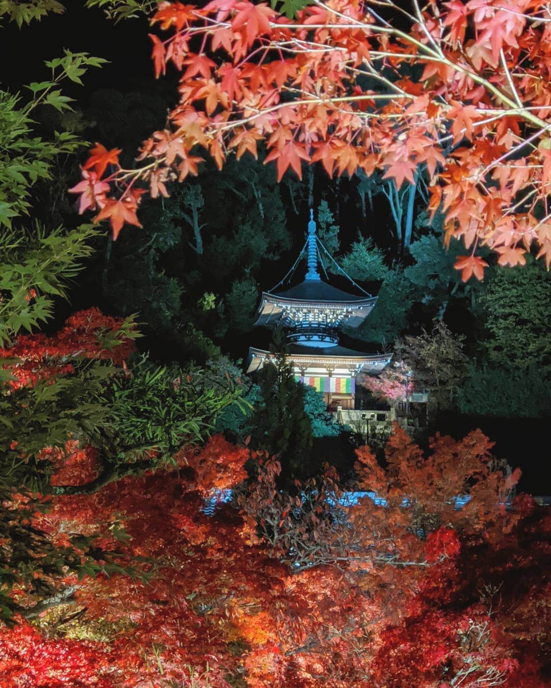 のインスタグラム：「Eikando temple Kyoto  永観堂 #smartphonephotography  GooglePixelで夜の撮影。しかもきれいな構図になるよう両腕を上げての拡大ズーム。それにもかかわらず画質が荒れず手ブレも抑えられている。 #pixelで撮影 #teampixel #googleのスマホ #京都 #Kyoto #Kyoto #Japan #紅葉 #永観堂 #trip #autumnleaves」