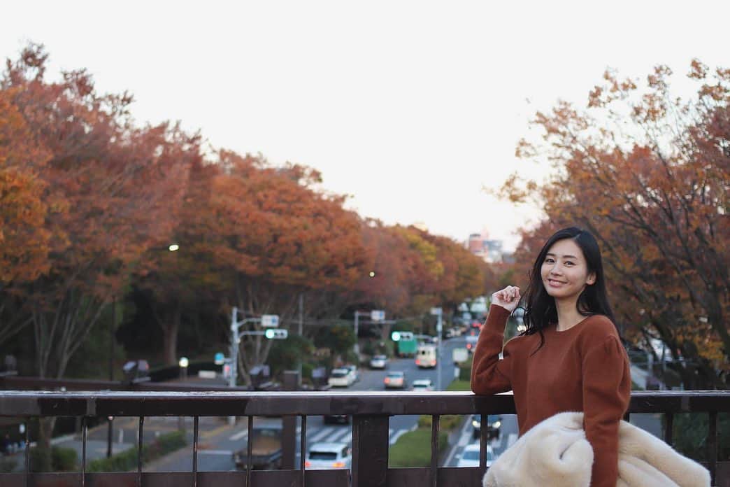 篠原真衣さんのインスタグラム写真 - (篠原真衣Instagram)「. . 夕暮れは人の心を動かすけど、秋の夕暮れはまた素晴らしいですね。 . 紅葉も始まりオレンジ色が一面に広がって富士山まで照らして、どこまでも輝いてたな。 . 夕暮れって切なかったり寂しかったりセンチメンタルなイメージだけど、とってもエネルギーに満ちたキラキラとした力強い夕暮れに感じたのは、私自身の心がそうだからかな😊 . さぁ11月も終わる。 . 今日も明日も 今年も来年も 挫けることなく、 楽しく力強く、 活き活きゆこ⭐️ .」11月26日 13時18分 - shinomai425