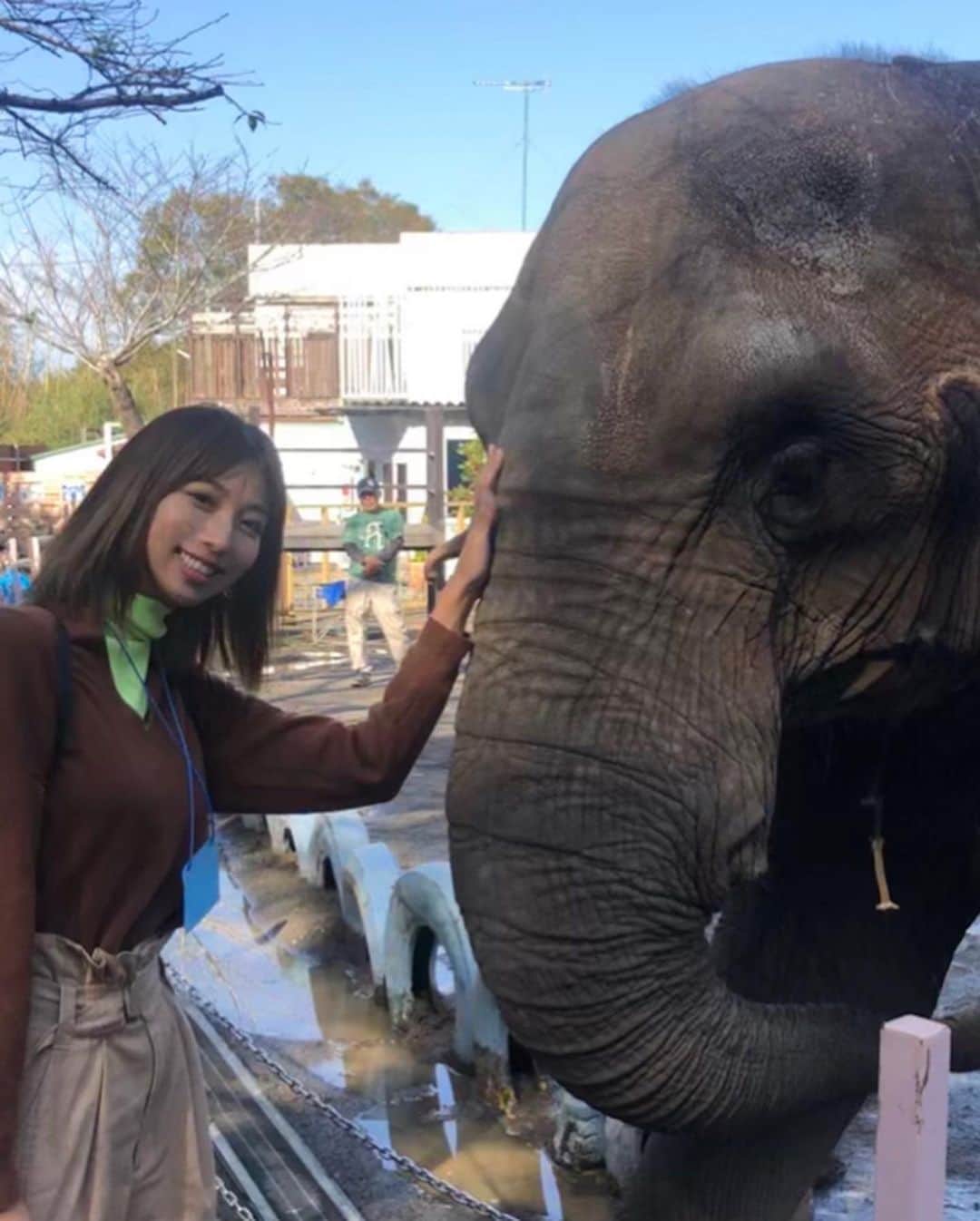 古賀あかねさんのインスタグラム写真 - (古賀あかねInstagram)「千葉県市原市にある﻿ 市原ぞうの国って知ってる😪？﻿ ﻿ 日本で一番象がたくさん﻿ いる動物園なんだよー🐘﻿ ﻿ ﻿ 象さんショーとかも﻿ あって楽しかったぁ🥰﻿ ﻿ ﻿ #市原ぞうの国﻿ #elephant ﻿」11月26日 13時50分 - iam.akanetan