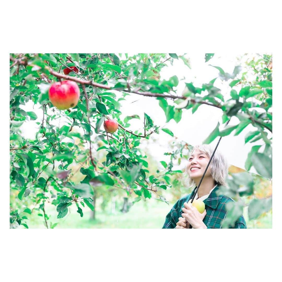 MAMIのインスタグラム：「りんご狩りの思い出〜🍎 目指せりんご王子〜🍎 . . . . . 📸 @k_amirin_photo  #りんご狩り #🍎 #ぐんま名月 #ふじ #神 #雨も滴る良いりんご #蜜ありすぎ伝説 #極寒」