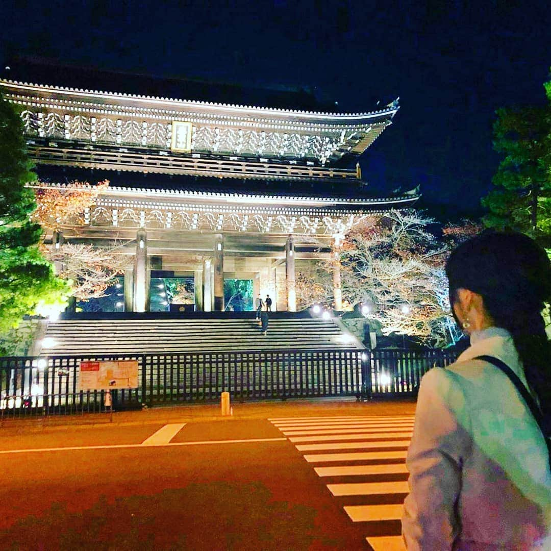 なつ葵さんのインスタグラム写真 - (なつ葵Instagram)「おいでやす🍵  #kyoto#Japan #temple #京都 #うしろ姿  #紅葉ライトアップ」11月26日 14時30分 - natsuki_taiyaki