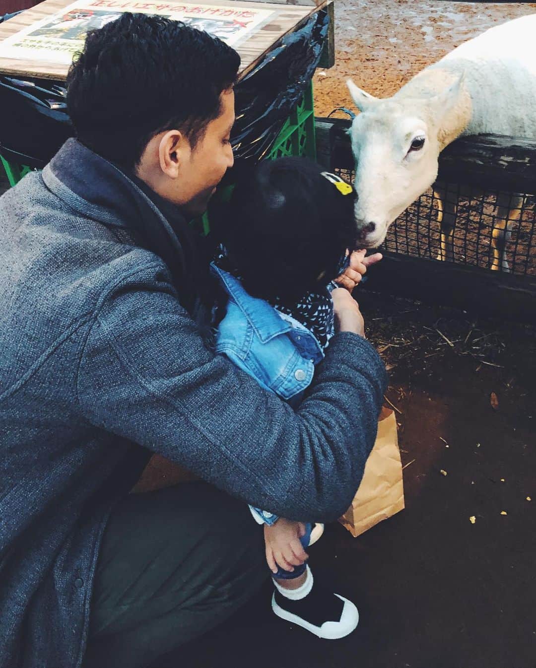 尾形沙耶香さんのインスタグラム写真 - (尾形沙耶香Instagram)「#familyweekend  #動物とふれあい」11月26日 15時01分 - sayakaogata
