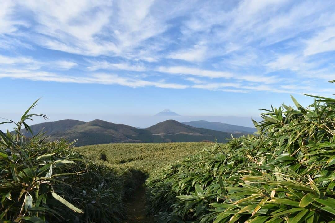 日本の国立公園さんのインスタグラム写真 - (日本の国立公園Instagram)「Follow: @nationalpark_japan⠀ Location: Nishina Pass/仁科峠⠀ .⠀ From the ridgeline covered with kumazasa, a type of low striped bamboo, Mt. Fuji looked so beautiful as if it were floating in the sky.⠀ .⠀ On our Instagram, we will also share wonderful photos of National Parks of Japan posted on Instagram with the tag #nationalparksjp. We look forward to your participation!⠀ .⠀ #FujiHakoneIzuNationalPark #富士箱根伊豆国立公園 #東京都 #神奈川県 #山梨県 #静岡県⠀ .⠀ #NationalPark #nationalparks #nature #findyourpark #instafollow #japan #landscape #landscape_lovers #ourplanetdaily #landscapephotography #hiking #outdoors #traveling #travel #explore #visitjapanjp #日本 #國家公園 #일본 #국립공원 #国立公園」11月26日 15時00分 - nationalpark_japan