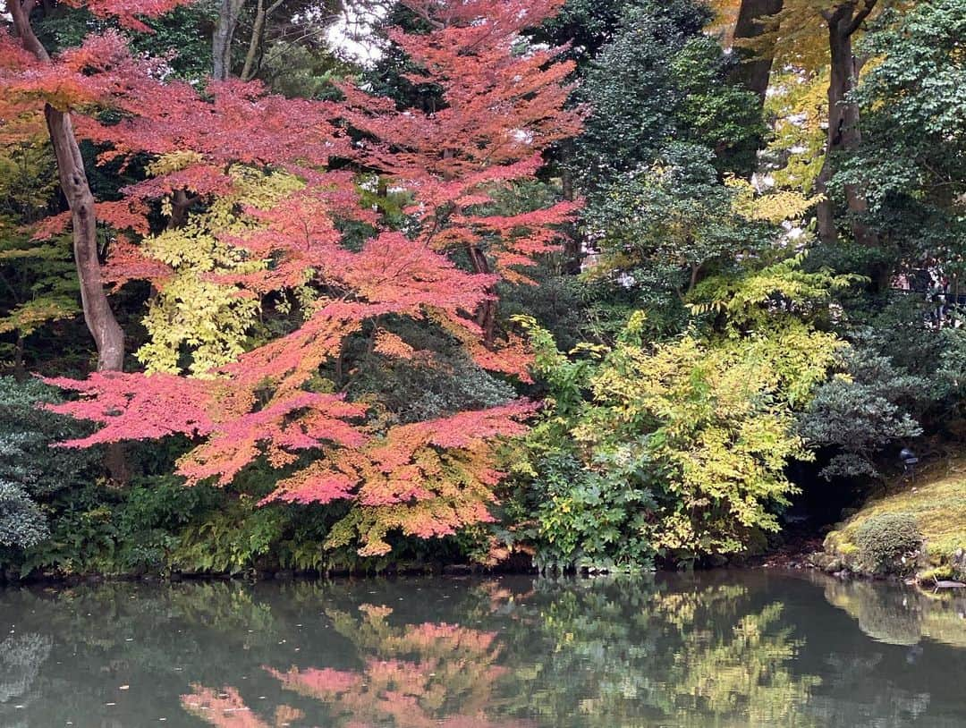 羽田あいさんのインスタグラム写真 - (羽田あいInstagram)「親が東京来てたので東京観光して次の日は石川県行ってきた🚗  紅葉ももう終わりがけ😢 あっという間に冬だなぁ❄️ #うんこミュージアム #バカラのシャンデリア #兼六園」11月26日 16時09分 - ai_haneda0922