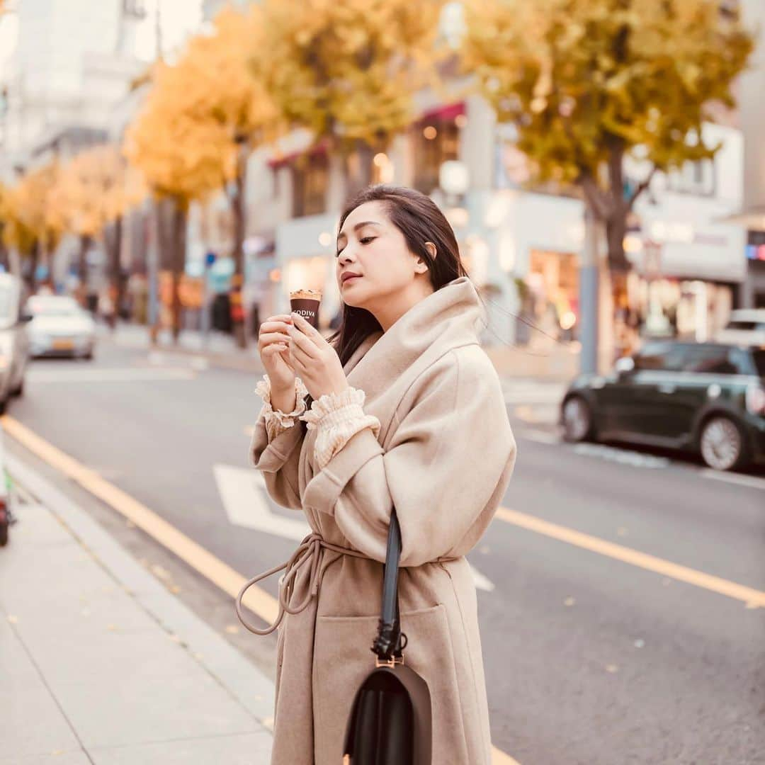 Raffi Ahmadさんのインスタグラム写真 - (Raffi AhmadInstagram)「❤️ Ice Cream 🇰🇷 Cantik ? 😍 Photo by @rufusazarya」11月26日 16時21分 - raffinagita1717