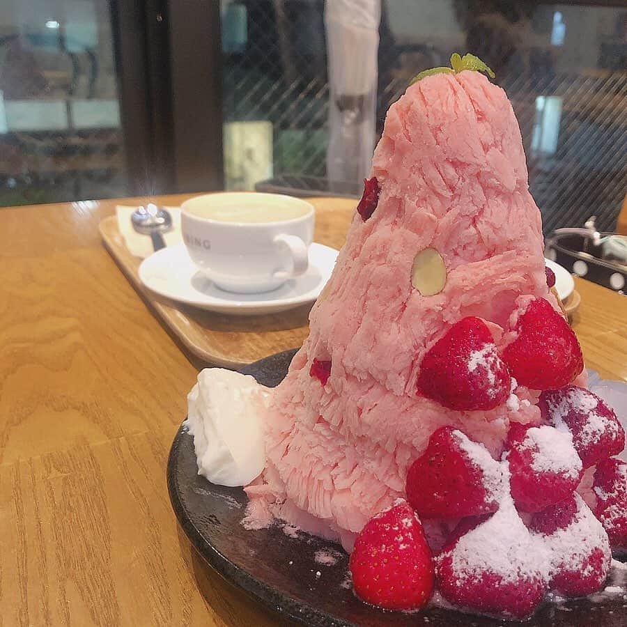 前田彩佳さんのインスタグラム写真 - (前田彩佳Instagram)「イチゴ🍓❄﻿ ﻿ ＊＊＊＊＊＊＊＊＊＊﻿ ﻿ 新大久保のHOMIBINGで食べました🍧﻿ めっちゃ美味しかった😋💓﻿ ﻿ ヒートテックが見えるのはご愛嬌🙈﻿ ﻿ ＊＊＊＊＊＊＊＊＊＊﻿ ﻿ #ホミビン #homibing #かき氷 #新大久保 #新大久保カフェ #いちご #期間限定 #期間限定に弱い」11月26日 16時28分 - _ayaka1218