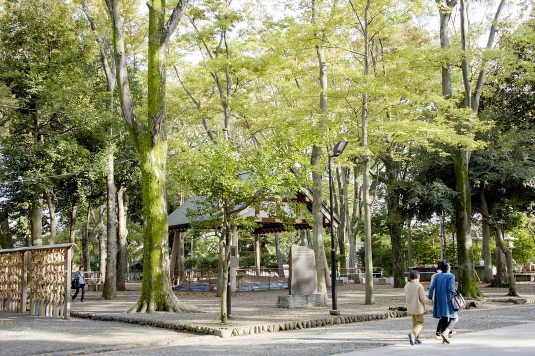 のインスタグラム：「「大國魂神社・相撲場 / Ookunitamajinjya Sumoujyou（府中市宮町）/ (2019.10.23撮影)」 最寄駅：府中駅 　#大國魂神社　#府中市　#相撲場　#旧甲州街道　#Ookunitamajinjy　#Fuchiyu_city　 #beautifuldestinations #tokyotrip #tokyotravel #passionpassport #tokyojapan #instatokyo #loves_nippon #phos_japan #bestjapanpics #cooljapan #japan_of_insta #discovertokyo #photo_jpn #東京観光 #東京旅行 #illgrammers #景色 #お出かけ #東京 #Tokyo #东京 #도쿄 #tokyogood」