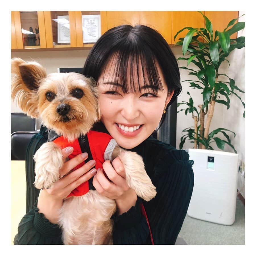 忍野さらさんのインスタグラム写真 - (忍野さらInstagram)「フォトジェニック ♡ もこ吉 ♡ 写真も凄く可愛いけど、実物はもっともっと可愛いもんねー！」11月26日 17時02分 - oshinosara