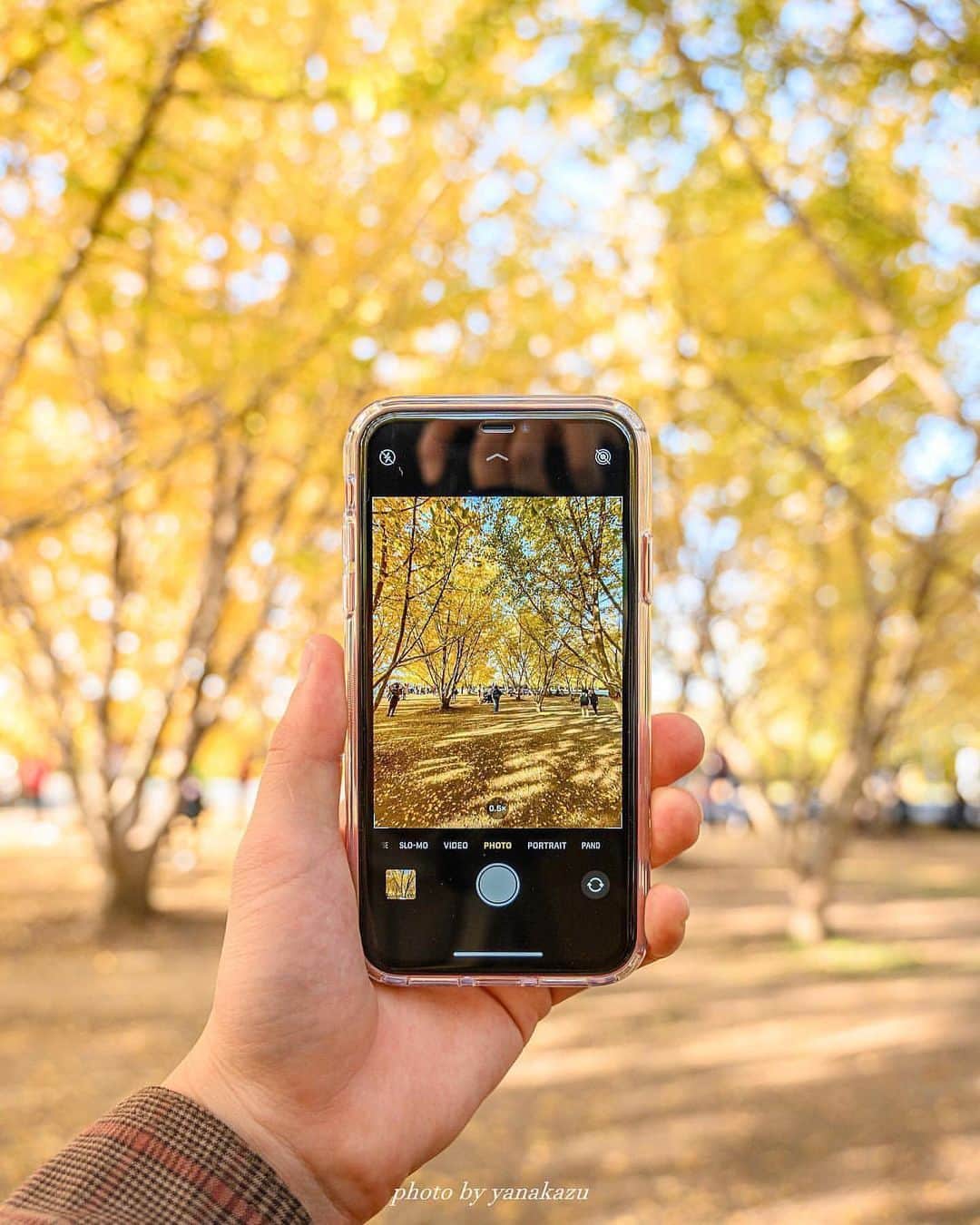aumoさんのインスタグラム写真 - (aumoInstagram)「【#紅葉狩り×#秋の終わり】. 福岡県久留米市の「#太原」にて撮影されたお写真📸 . イチョウの木も足元に黄色い絨毯をつくりはじめ、秋の終わりを感じますね🍁 みなさんは秋を楽しめましたか？💛 . Credit：@yanakazu0119 さん 素敵なお写真をありがとうございます！ . あなたが撮影した素敵な写真に 「#aumo」を付けて教えてください♡ あなたの投稿が明日紹介されるかも♪ . aumoアプリは毎日配信！おでかけや最新グルメなどaumo読者が気になる情報が満載♡ ダウンロードはプロフィールのURLから✔︎ (iPhone&Android版) . . #福岡#福岡旅行#国内旅行#インスタ映え #インスタ探検隊 #女子旅#絶景#旅 #team_jp_ #igersjp  #japan_daytime_view #wu_japan  #bestjapanpics #japan_of_insta #art_of_japan_ #ptk_japan #photo_jpn #lovers_nippon #tokyocameraclub #あなたとみたい景色#フォトジェニック#紅葉#いちょう並木」11月26日 17時11分 - aumo.jp