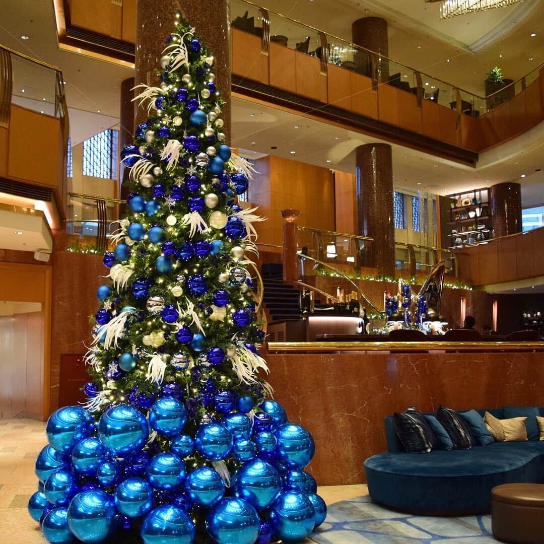 Sheraton Yokohamaさんのインスタグラム写真 - (Sheraton YokohamaInstagram)「. 横浜ベイシェラトンのロビーに クリスマスツリーが登場🎄  リニューアルしたロビーのコンセプトカラー「ブルー」を基調に、800球の光とスパークリングボールや横浜市の花「バラ」でデコレーションした高さ5メートルのツリーが、ロビーを煌びやかに演出します✨ 青いバラの花言葉には「奇跡・夢が叶う」。令和初のクリスマスに希望を込め、ぜひ横浜ベイシェラトンにお立ち寄りください。  #sheratonyokohama #sheraton #sheratonhotels #yokohama #Christmas #xmas #winter #christmascountdown #christmas2019 #christmastree #クリスマス #クリスマスツリー #横浜 #横浜駅 #シェラトン #横浜ベイシェラトン」11月26日 17時18分 - sheratonyokohama