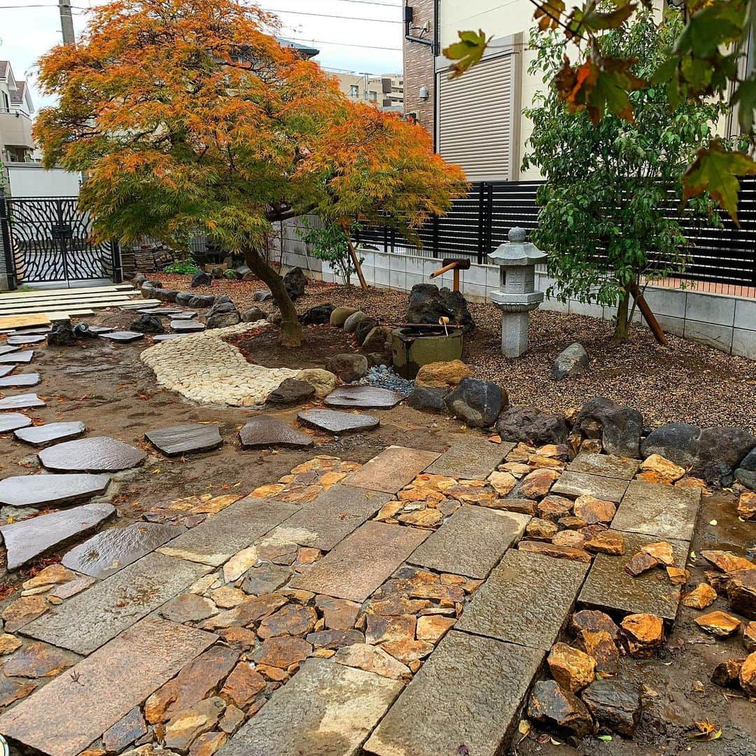 村雨辰剛さんのインスタグラム写真 - (村雨辰剛Instagram)「石貼りが終わらない内にお庭の主木が紅葉して、使っている石と紅葉の色彩の相性に気がついた。四季っていいね。🍁 #秋の庭」11月26日 17時32分 - tatsumasa.murasame