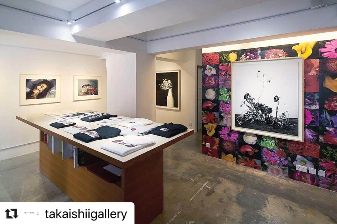 ソフさんのインスタグラム写真 - (ソフInstagram)「#Repost @takaishiigallery ・・・ Nobuyoshi Araki “Flower Rondeau” at SHOP Taka Ishii Gallery. Through Jan 19, 2020.  This exhibition marks the 1st anniversary of our Hong Kong space!・・・ #takaishiigallery  #shoptakaishiigallery  #starstreet #hongkong  #nobuyoshiaraki  #uniformexperiment  #NobuyoshiARAKIxuniformexperiment  #virgilabloh @soph_co_ltd」11月26日 17時46分 - soph_co_ltd