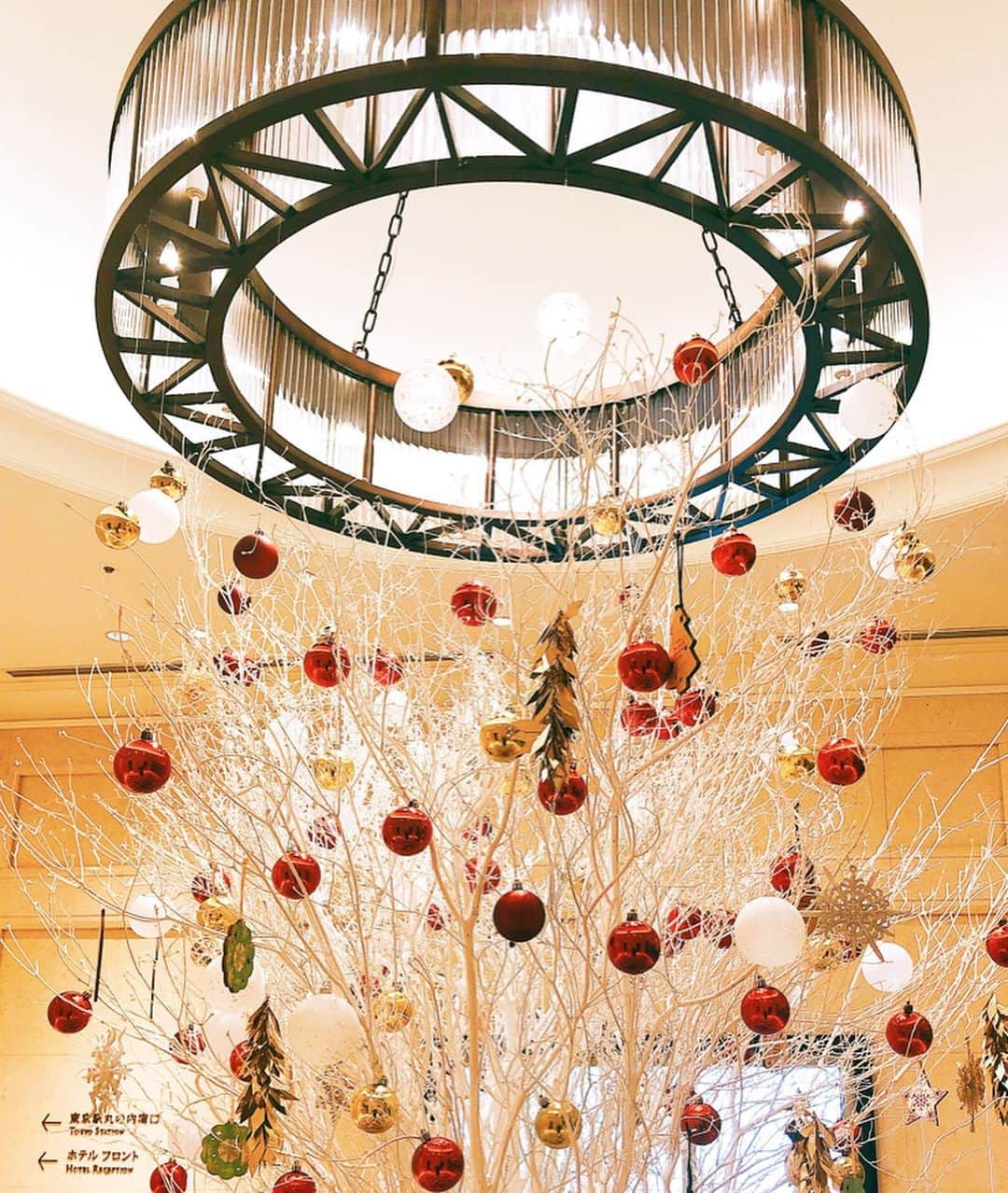 東京ステーションホテルTokyo Station Hotelさんのインスタグラム写真 - (東京ステーションホテルTokyo Station HotelInstagram)「昨晩から、フローリストの方々によるクリスマスの飾り付けが始まりました。東京ステーションホテルの中も華やぎに満ちています。﻿ クリスマスメニューは　@tokyostationhotel HPへ ﻿ Our florists have started to displayed the Christmas decoration since last night. Enjoy the Festive Season and spend a special time with your valued person.﻿ —————————————————————﻿ #tokyotravel #tokyotrip #tokyostation #christmasdecorations #christmastree #tokyoillumination #ch#tokyostationhotel #marunouchi #tokyotokyo #smallluxuryhotels #forbestravelguide #クリスマスツリー #ライトアップ #イルミネーション #イルミネーション2019 #丸の内クリスマス #ホテルステイ #東京ステーションホテル #東京駅 #東京駅舎 #丸の内 #旅記録 #ホテル好き #東京イベント #MYTOKYOIS #tokyotokyo #hotelsfortheholidays」11月26日 17時48分 - tokyostationhotel