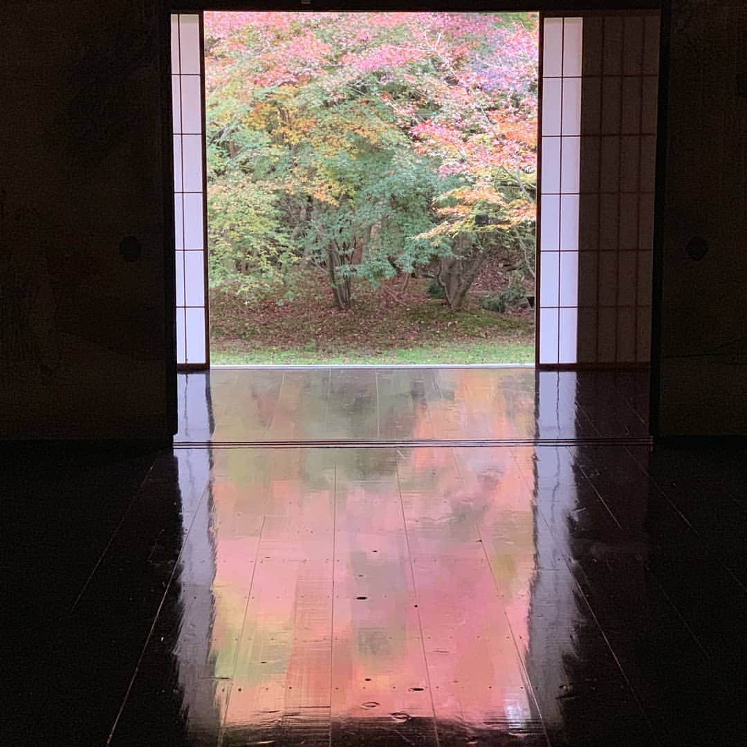 City of Kyoto Official Accountのインスタグラム：「紅葉だより2019🍁更新中 https://ja.kyoto.travel/flower/momiji/  写真は11/26の実相院の様子です。（写真は実相院さんからご提供いただきました。） #京都 #京都ジェニック #秋 #紅葉#もみじ #実相院 #🍁 #未来に残したい京都 #京都好きな人と繋がりたい  #visitkyoto #kyotogenic #autumninkyoto  #jissoin #fallfoliage #maple #maplemania #mapleleaf #autumnleaves #kyototravel #japantrip #autumn #kyototrip 🍁Kyoto Fall Foliage Calendar 2019🍁 https://fallfoliage.kyoto.travel/」