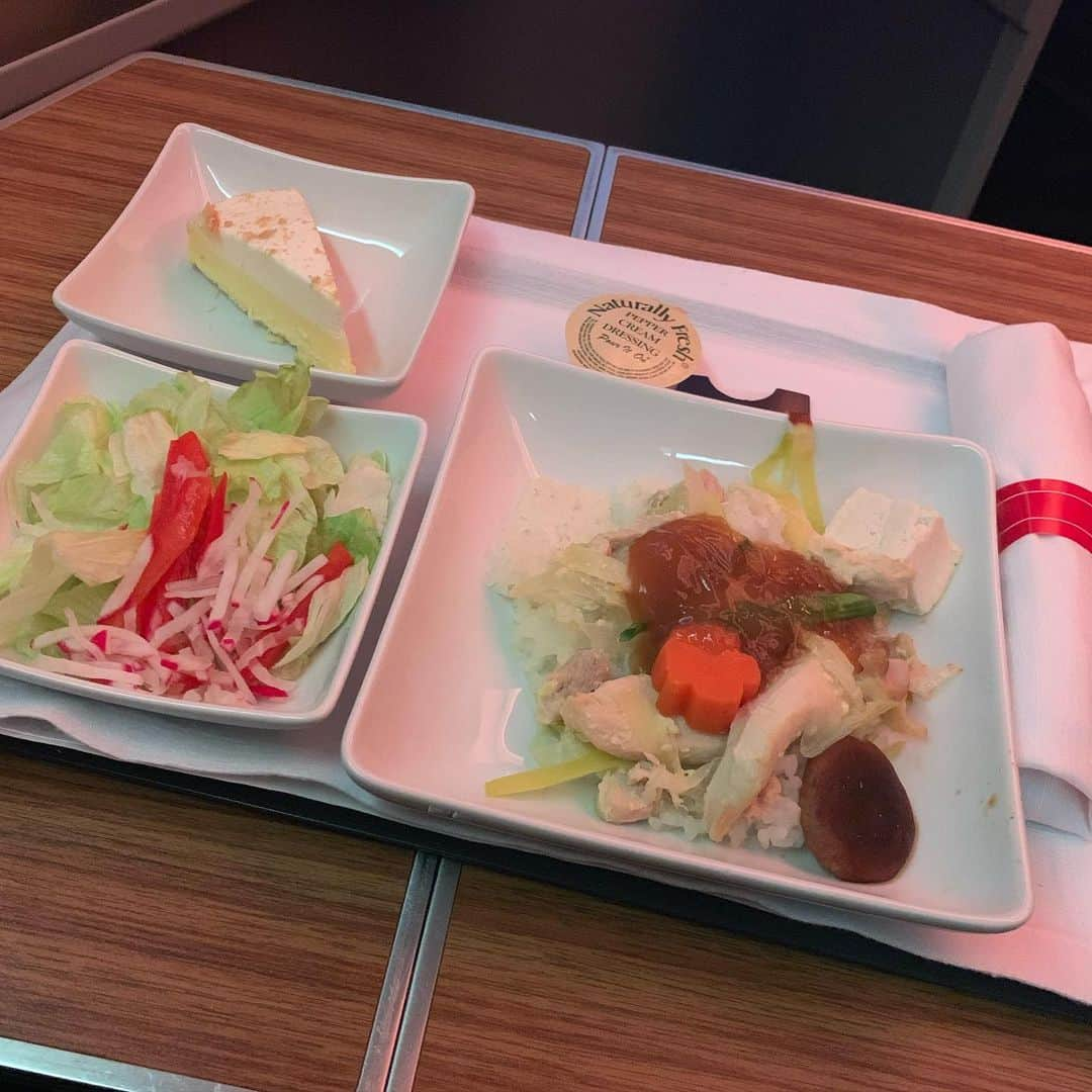 小平智さんのインスタグラム写真 - (小平智Instagram)「日本帰ってきました(^^) American Airlines 様の機内食！と外の風景！ 映画はライオンキング見たぜ！ #AmericanAirlines #American航空 #アメリカン航空」11月26日 17時57分 - satoshi_kodaira_official