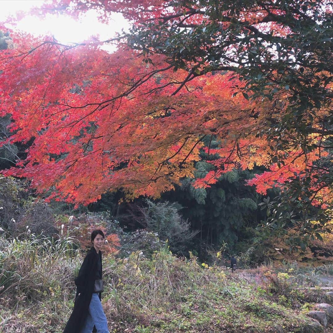 uinoloscaさんのインスタグラム写真 - (uinoloscaInstagram)「この時期に日本に帰国することはあまりないので、今回は紅葉を見れてうれしい🥰🍁 ・ ・ ・ #一時帰国  #紅葉 #秋を楽しむ」11月26日 18時56分 - uinolosca