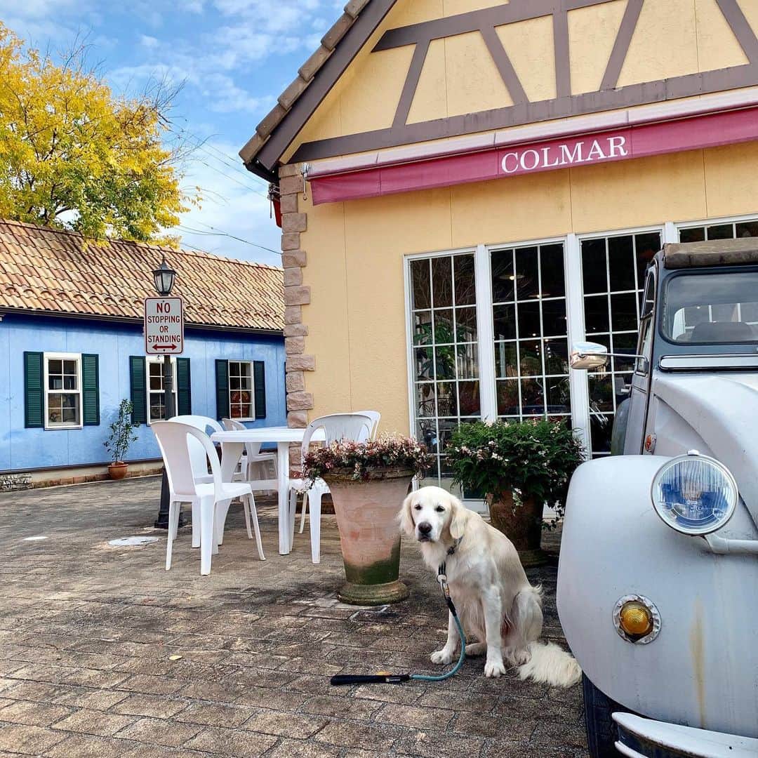 P太郎ママのグルメインスタ