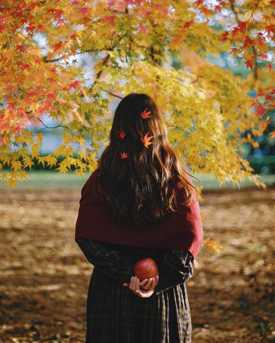 hiderin777のインスタグラム：「coordinate in autumn . . . 秋コーデ🍁 . . . . #nokton  #50mm  #50mmphotography」