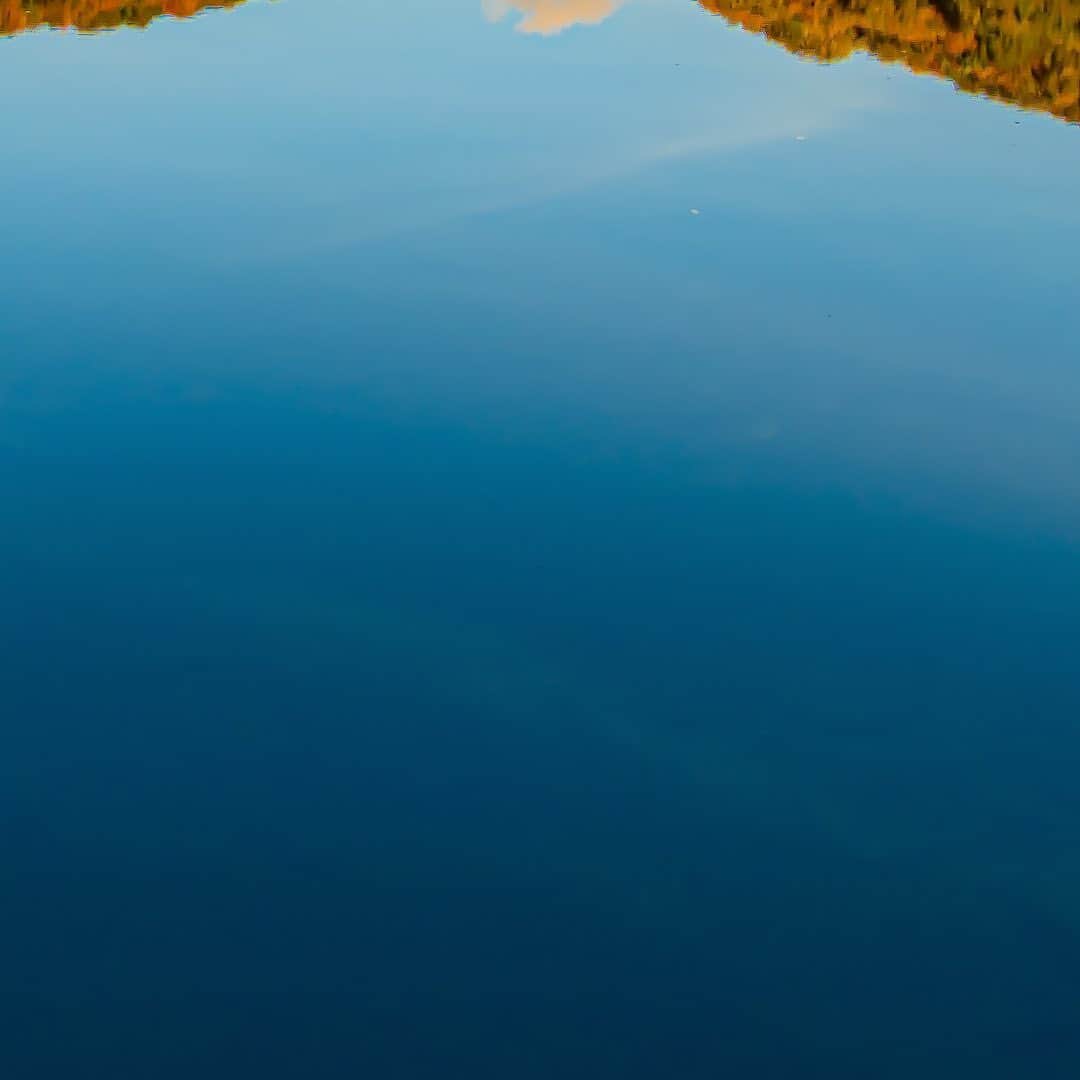 tomohiro koshikaのグルメインスタ