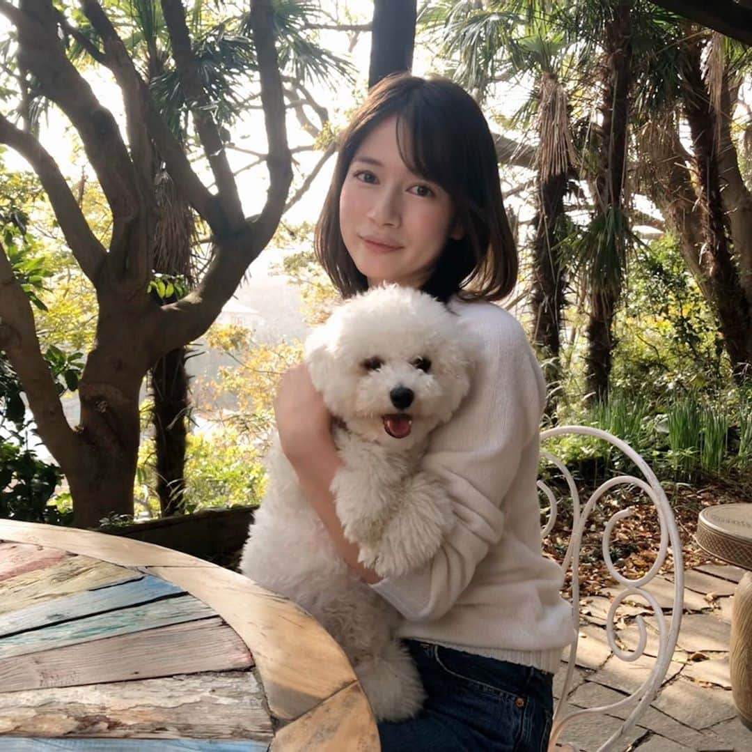 宇内梨沙さんのインスタグラム写真 - (宇内梨沙Instagram)「圧倒的、癒し☺️﻿ ﻿ 会う度﻿ 帰るときの別れが寂しいです…またね👋  #ビションフリーゼ #いぬのいる暮らし  #おやばか部」11月26日 21時10分 - risaunai