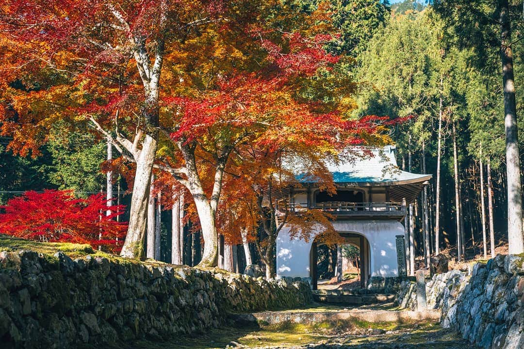 京都いいとこフォトさんのインスタグラム写真 - (京都いいとこフォトInstagram)「. 大原の古知谷阿弥陀寺。 静かな参道で紅葉を堪能しました。 . Kochidani Amida-ji Temple in Ohara. I enjoyed the autumn leaves on a quiet approach. . . .  Date : 2019.11.23 Location : #KochidaniAmidaji #古知谷阿弥陀寺 Photo : @hino0117 .」11月26日 21時20分 - kyoto_iitoko