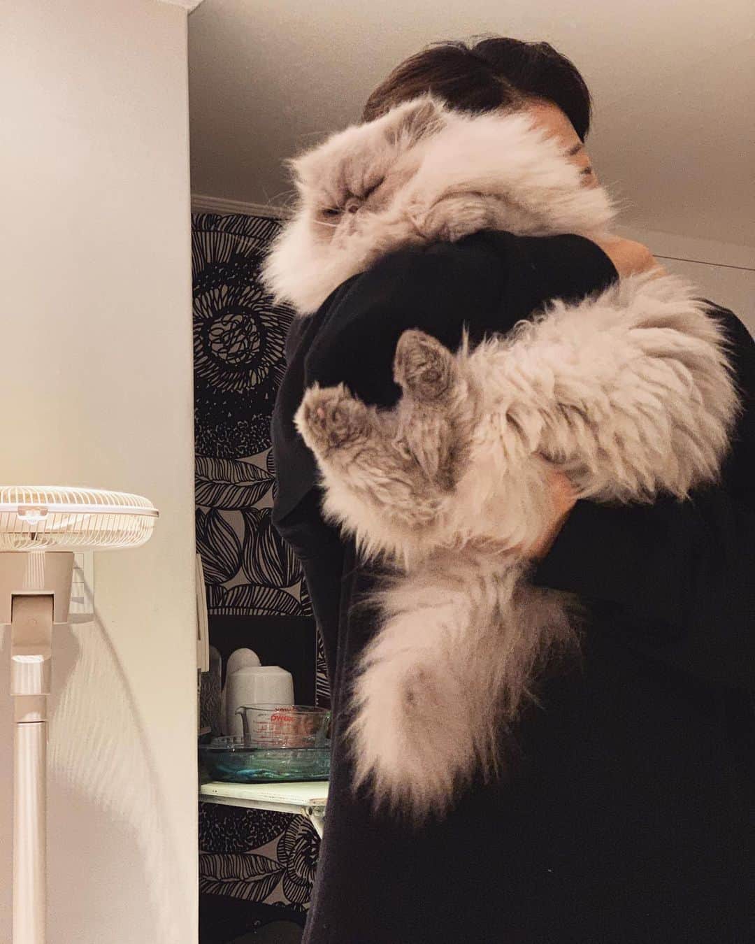 イ・エルさんのインスタグラム写真 - (イ・エルInstagram)「_ 엄마는 너무너무 사랑하고 행복하고 짠하고 애틋한데 내 새끼는 '.........ㅇ ㅏ 딱 싫어'😑🤦🏻‍♀️ #김탱고탱탱볼마마냥꼬먹깨비눈꼽쟁이쪼꼬쪼꼬탱탱」11月26日 22時03分 - 2l_kjh