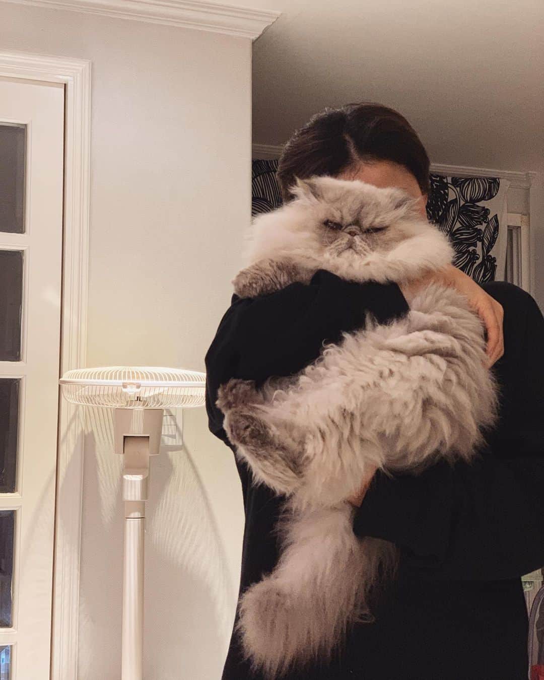 イ・エルさんのインスタグラム写真 - (イ・エルInstagram)「_ 엄마는 너무너무 사랑하고 행복하고 짠하고 애틋한데 내 새끼는 '.........ㅇ ㅏ 딱 싫어'😑🤦🏻‍♀️ #김탱고탱탱볼마마냥꼬먹깨비눈꼽쟁이쪼꼬쪼꼬탱탱」11月26日 22時03分 - 2l_kjh