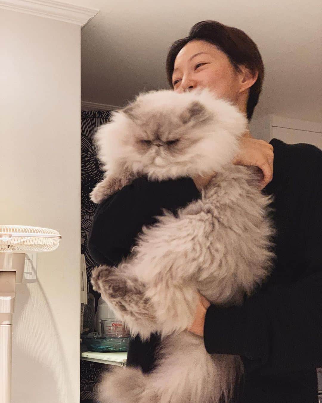 イ・エルさんのインスタグラム写真 - (イ・エルInstagram)「_ 엄마는 너무너무 사랑하고 행복하고 짠하고 애틋한데 내 새끼는 '.........ㅇ ㅏ 딱 싫어'😑🤦🏻‍♀️ #김탱고탱탱볼마마냥꼬먹깨비눈꼽쟁이쪼꼬쪼꼬탱탱」11月26日 22時03分 - 2l_kjh