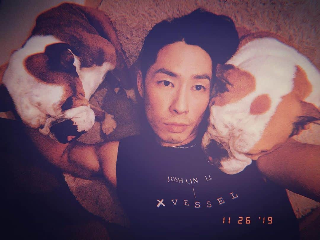 呉建豪のインスタグラム：「Hercules & Bowie 💜 #latenightwithmyboys」