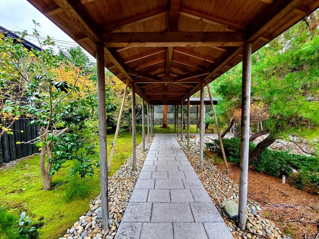 Shihoのグルメインスタ