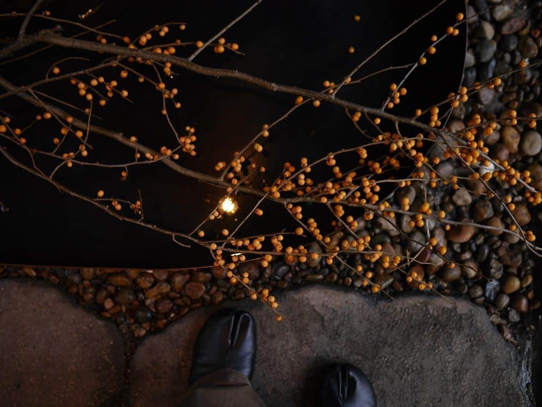 MARLMARL（マールマール）のグルメインスタ