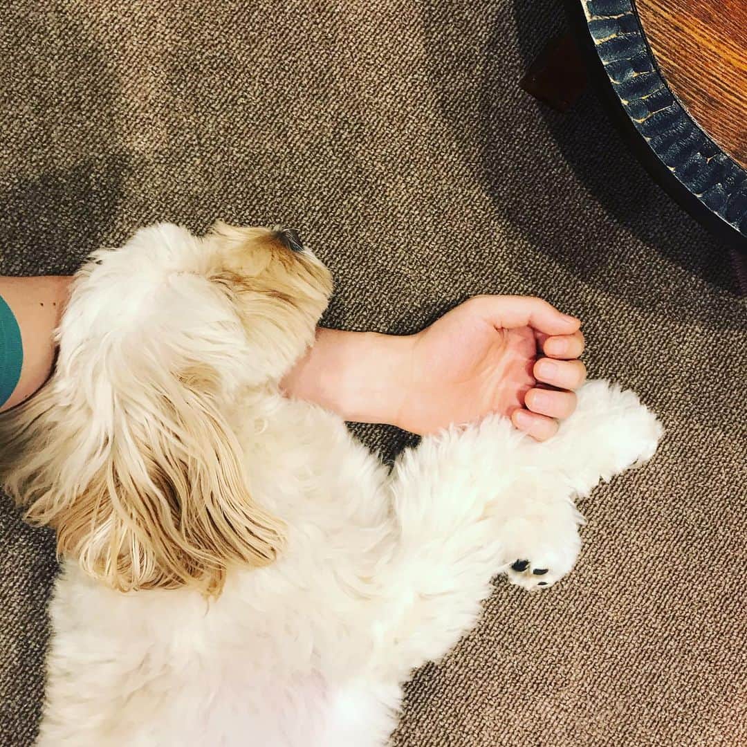 北山陽一のインスタグラム：「珍しいかたち。#きたやまおもち」